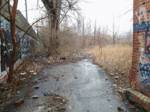 Sloth (USA-2) : 4-13-14